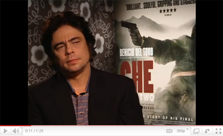 Benicio Del Toro Interview