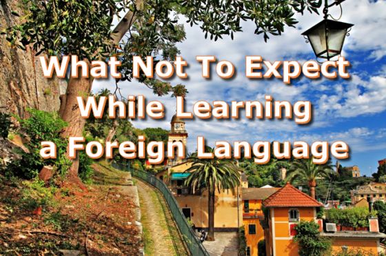 What not to expect when learning foreign language